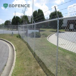 Park Trail Chain Link Fence Greenery Divider