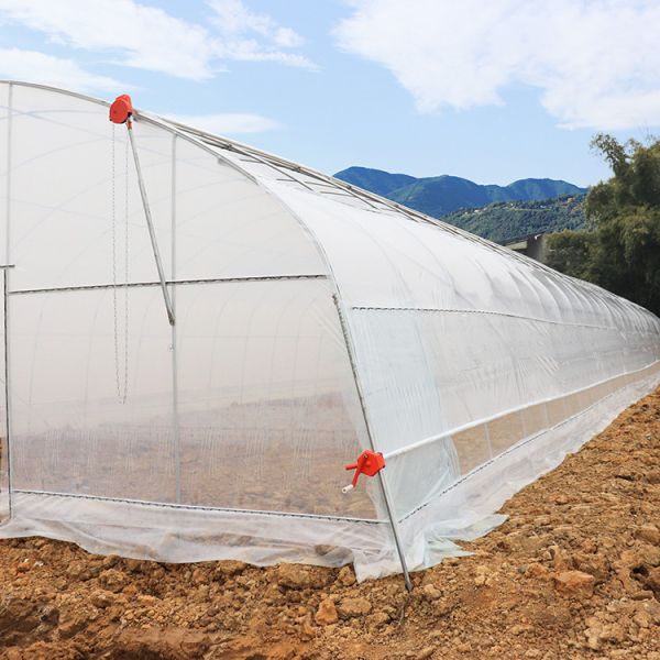 Quality Plastic Sheet Uv 200 Microns Single Span Greenhouse For Tropical Climate wholesale