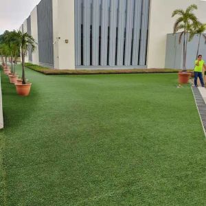 30MM artificial grass carpet flooring Garden grass for landscape save for pets