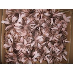 15*30cm Hackle And Goose Feather Mounts With Wire , Flower Feather Headband