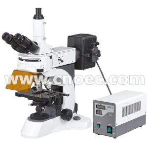 40x - 1000x Epi - Fluorescence Microscope Trinocular A16.1028