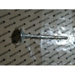 12V190 Standard Component 1300kw Jinan Diesel Engine Parts Model BL12V190ZL-3