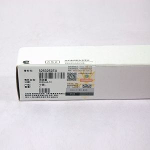 ISD QSB Engine Parts 5263262 Fuel Injector