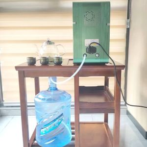 WEIZI 220W Hydrogen Inhalation Machine with 2000ppb Water Generator