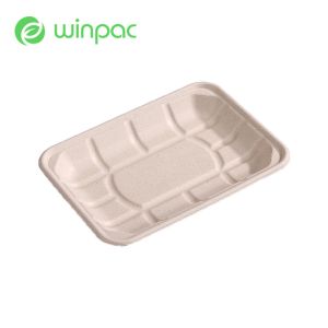 Cheap Paper Fruit 8in Sugarcane Bagasse Tray Pulp Eco Biodegradable Sustainable for sale