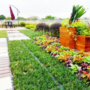 Plastic Square Assemble Green Roof Tray Systems for Sustainable Planting