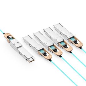 High Speed 400G QSFP-DD to 2x200G QSFP56 AOC Breakout Cable Active Optical Cable