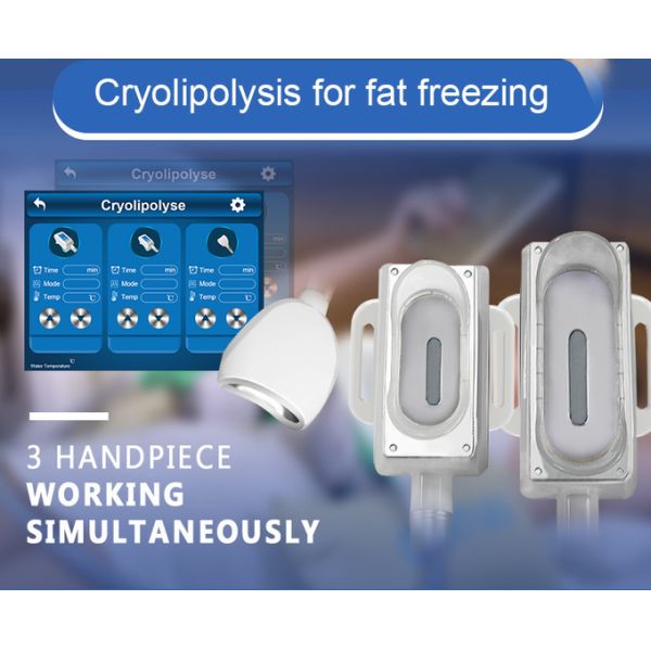 No-Invasive Cryolipolysis Slimming Machine with Unique 360° Cooling & Pain Relief Shock Wave Handle