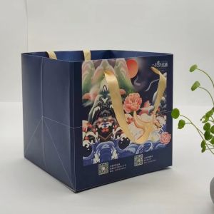 Custom Luxury Gift Garment Paper Shopping Bags With Logo Printreusable grocery