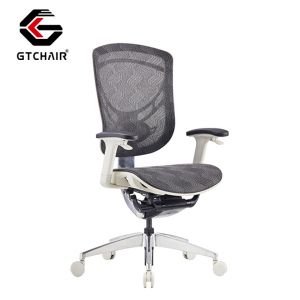 Online Ergo Task Office Chairs 5D Arms Height Adjustable Ergonomic
