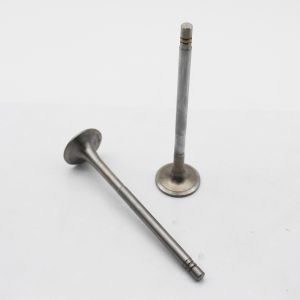 6610-41-4110 6610-41-4210 Diesel Engine Valve NH220 Intake Exhaust Valve For