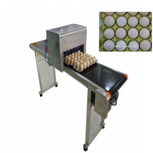 600DPI Egg Date Stamp Machine / Inkjet Marking Machine With High Performance
