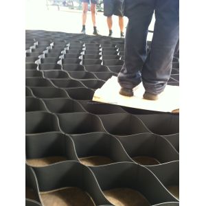 Monolayer Growth Properties Geo Cell Service Line Homo Sapiens Essential