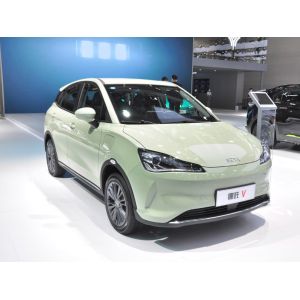 2022 NETA V Hozon SUV EV Cars New Small Pure Electric 5 Doors 5 Seats