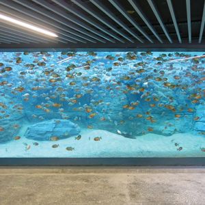 Cheap Customizable Acrylic Aquarium Fish Tank with Cutting Service Sustainable Aquarium &amp; Accessories for sale