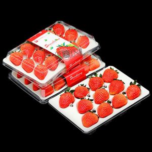 11 Compartments Clear Plastic Strawberry Containers Custom Waterproof