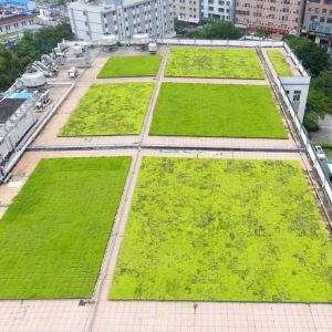 Modular Green Roof Tray for Planting Systems using PP Plastic Material without