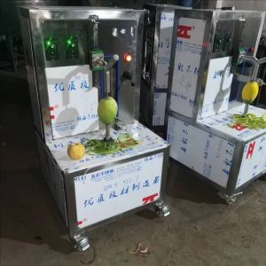 New Fruit Peeling Machine With Pitting And Pulping Sure Fruit Peeling Machine