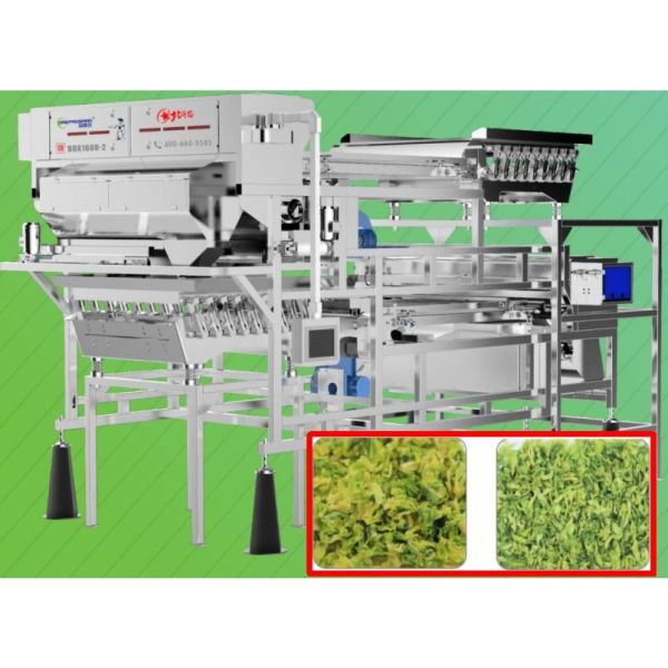 2.0T/H Vegetable Sorting Machine Precise Target Positioning 5400 pixel For