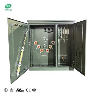 200Kva Three Phase Pad Mounted Transformer Oil Immersed 4160V To 208V