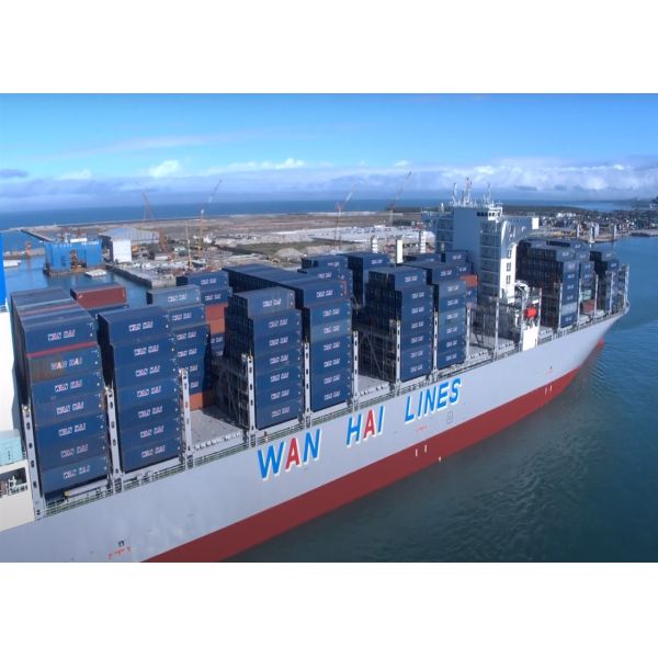 Timely Full Container Load Ocean Freight DDP Worldwide Sea Freight