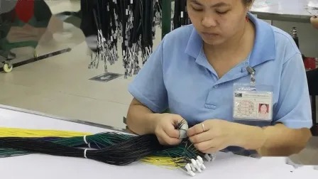 Customized PVC 105ºC 300V Wire Harness Cable Assembly with OEM ODM Service for