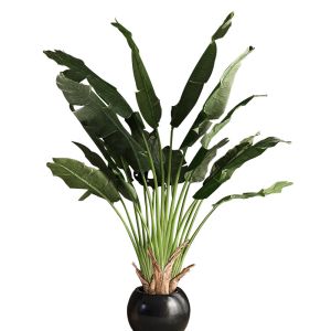 China Artificial Green Potted Plant Banana Tree Indoor Large Landscaping Decoration on sale