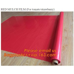 Agricultural Mulching Film Used for Fruit, Flower and Vegetable