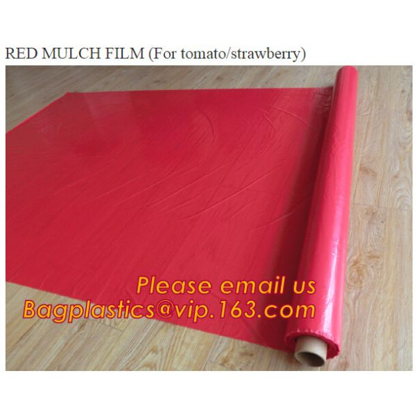 Quality Agricultural Mulching Film Used for Fruit, Flower and Vegetable wholesale