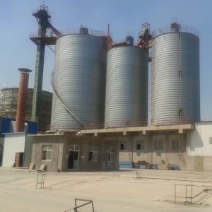 Galvanized Fly Ash Cement Storage Silo With Solid Structure ISO 9001