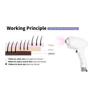 New Arrival Laser Beauty Machine Multifunction 3 in 1 With Picosecond 808 nm