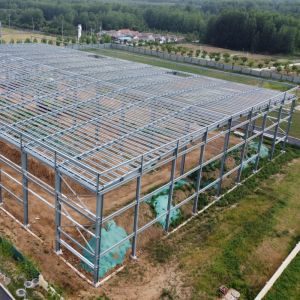 Pre Engineered Steel Structure Warehouse with 50-Year Lifespan