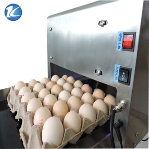 Professional Egg Stamping Machine Laser Batch Coding Machine 600dpi Resolution