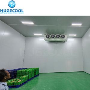 Air Cooling Commercial Cold Chiller Freezer Room With Durable Condensing Unit