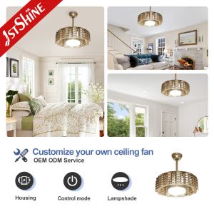 1stshine Low Noise Bladeless Ceiling Fan without Blade and Remote Control for