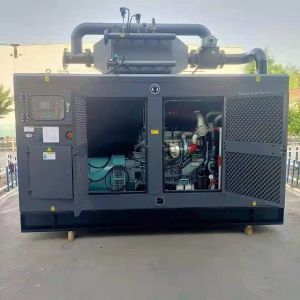 IP23 Protection Class 80kw Natural Gas/Biogas Generator Set Electrical Start for