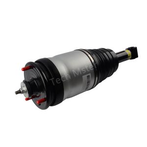 RTD501090 LR016418 Rear Shock Absorber Assy For Discovery 3 Discovery 4 LR3 LR4