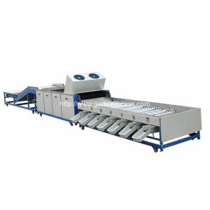 Automatic Garlic Sorting Machine with Brusher Cleaning Function
