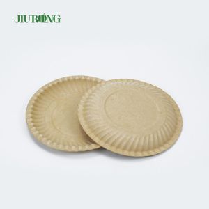 Recyclable Biodegradable Sugarcane Food Container Eco Friendly Round Plate 258mm