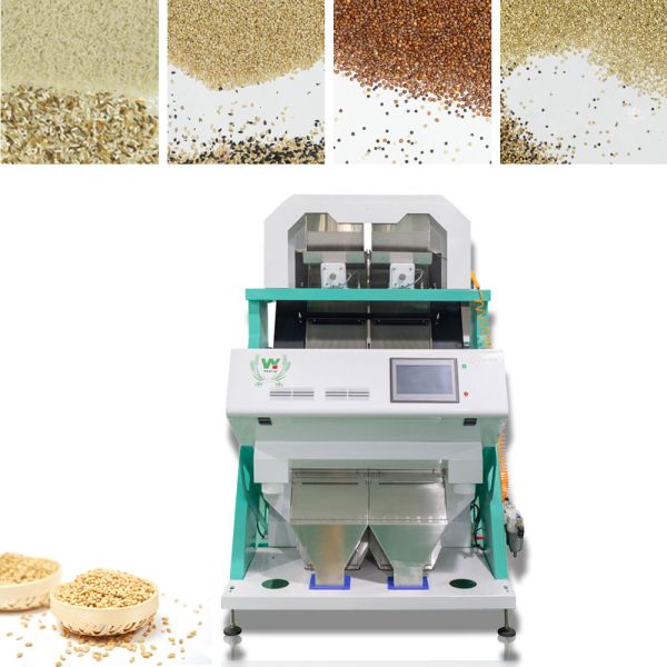 Quality Intelligent Nuts Seeds Peanut Lentil Beans Color Sorter Auto computing wholesale