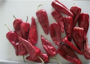 China Spicy Dried Asian Yidu Chili Peppers 100 Kcal/100g Dry And Cool Place Storage on sale