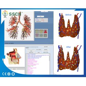 8D NLS Health Analyzer Machine For SPA Club Home Quantum Resonance Vector System