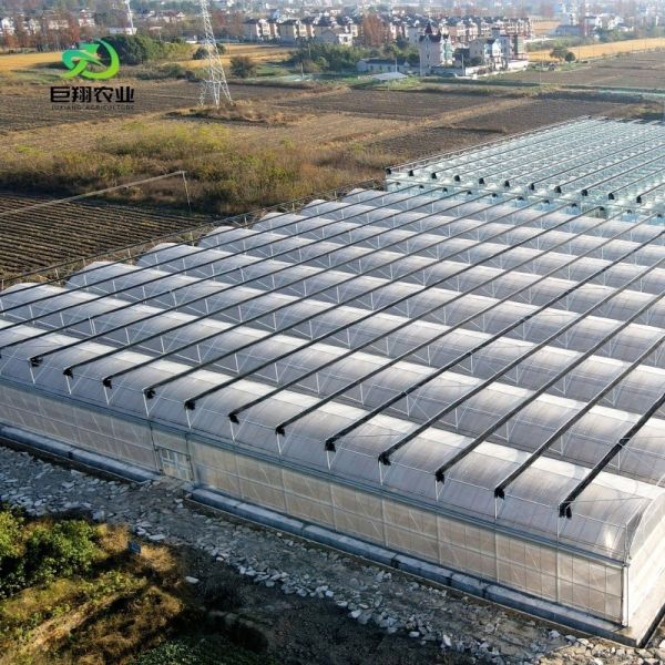 Quality 8m 9.6m 12m Customized Polycarbonate Greenhouse for Garden Irrigation and Fertilization wholesale