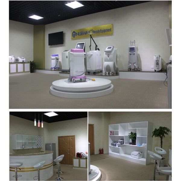 Best professional laser tattoo removal machine with ce approval