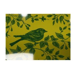 Cheap Regular Spangle Structure Coated Steel Coil With PE/SMP/HDP/PVDF Paint for sale