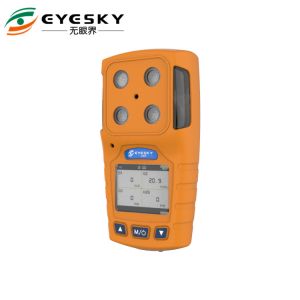 Personal multi gas detector with Diffusion sampling , quickly detect of the gas