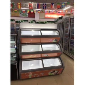 Portable Popsicle Ice Cream Display Fridge With Customized Logo