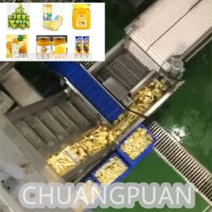 Cheap 10- 20Brix NFC/HPP Fruit Consistance Pineapple Juice Processing Machine For Smooth Production for sale