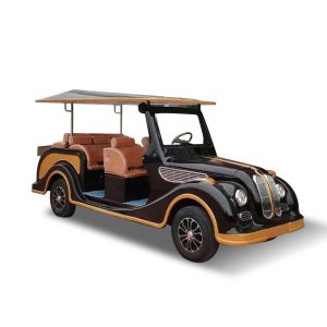 40 Mph Classic NEV 72V Golf Cart 6 Passengers With Curtis 1234 Controller