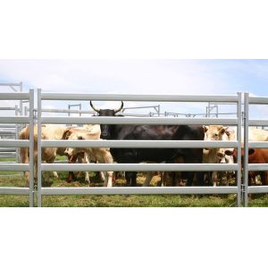 China 15pcs Bundle Heavy Duty Portable Cattle Panels For Sale & Gate on sale